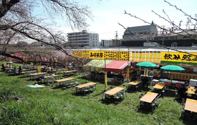 桜祭りの茶屋