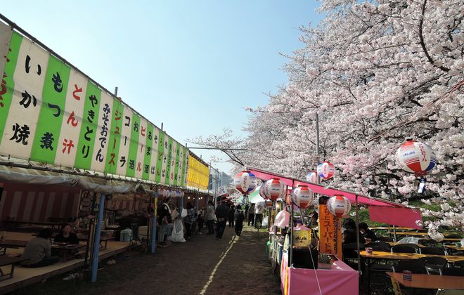 桜祭りの屋台