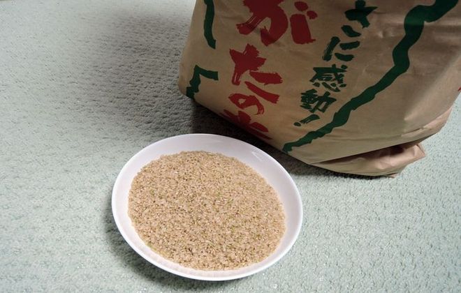 粒がそろっているきれいな玄米です。