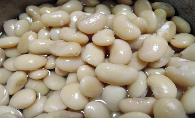 白花豆の栄養成分